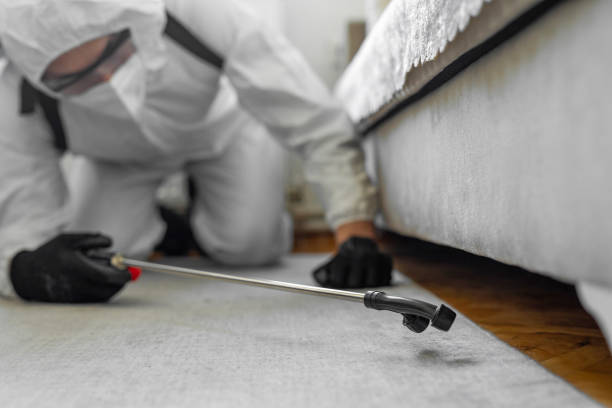 Professional Bed Bug Control technician working in Center, CO